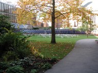 Autumn Colours