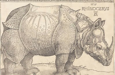 Rhino Dürer