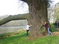 Exploring Blenheim